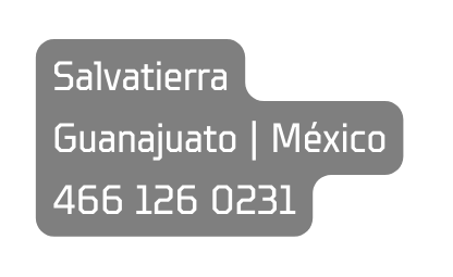 Salvatierra Guanajuato México 466 126 0231